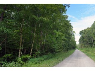 Tract 65 - Timberland & Farmland in Noble County, OH - LAND AUCTION - 12,200+/- ACRES OFFERED IN 65 TRACTS IN NOBLE COUNTY, OHIO
